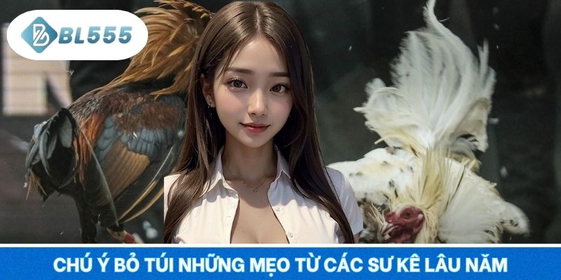 Chú ý bỏ túi những mẹo từ các sư kê lâu năm